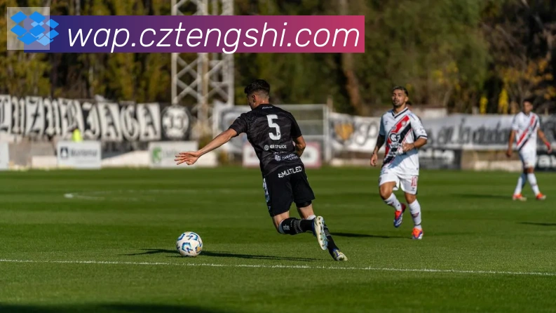 雅博app官网发展历程