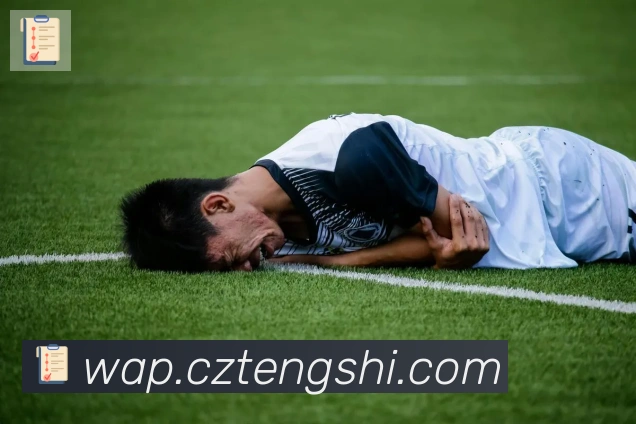 雅博app官网荣誉