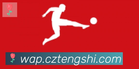 雅博app官网合作伙伴